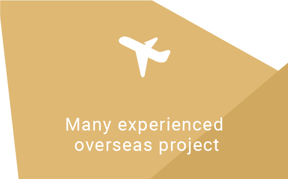 Many experienced overseas project